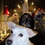 Francesca Labellarte