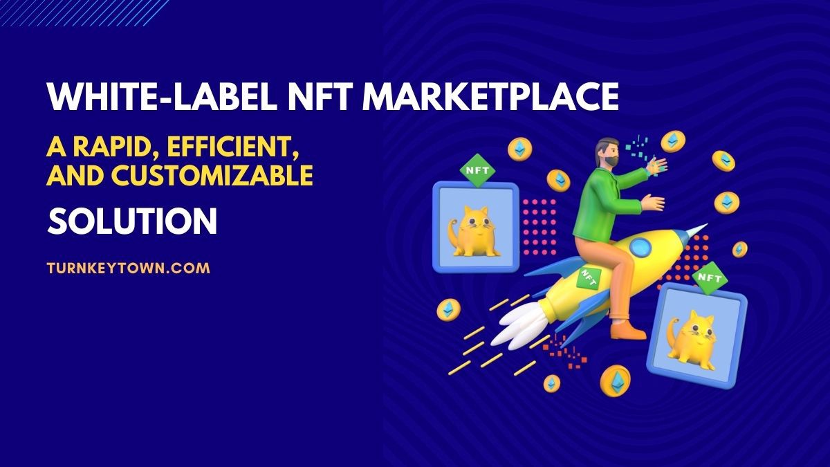 White-Label NFT Marketplace Development: A Prosperous Business Solution | by Shirley Dazzle | Geek Culture | Sep, 2022 | Medium