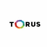 Torus Cold Press Juicers