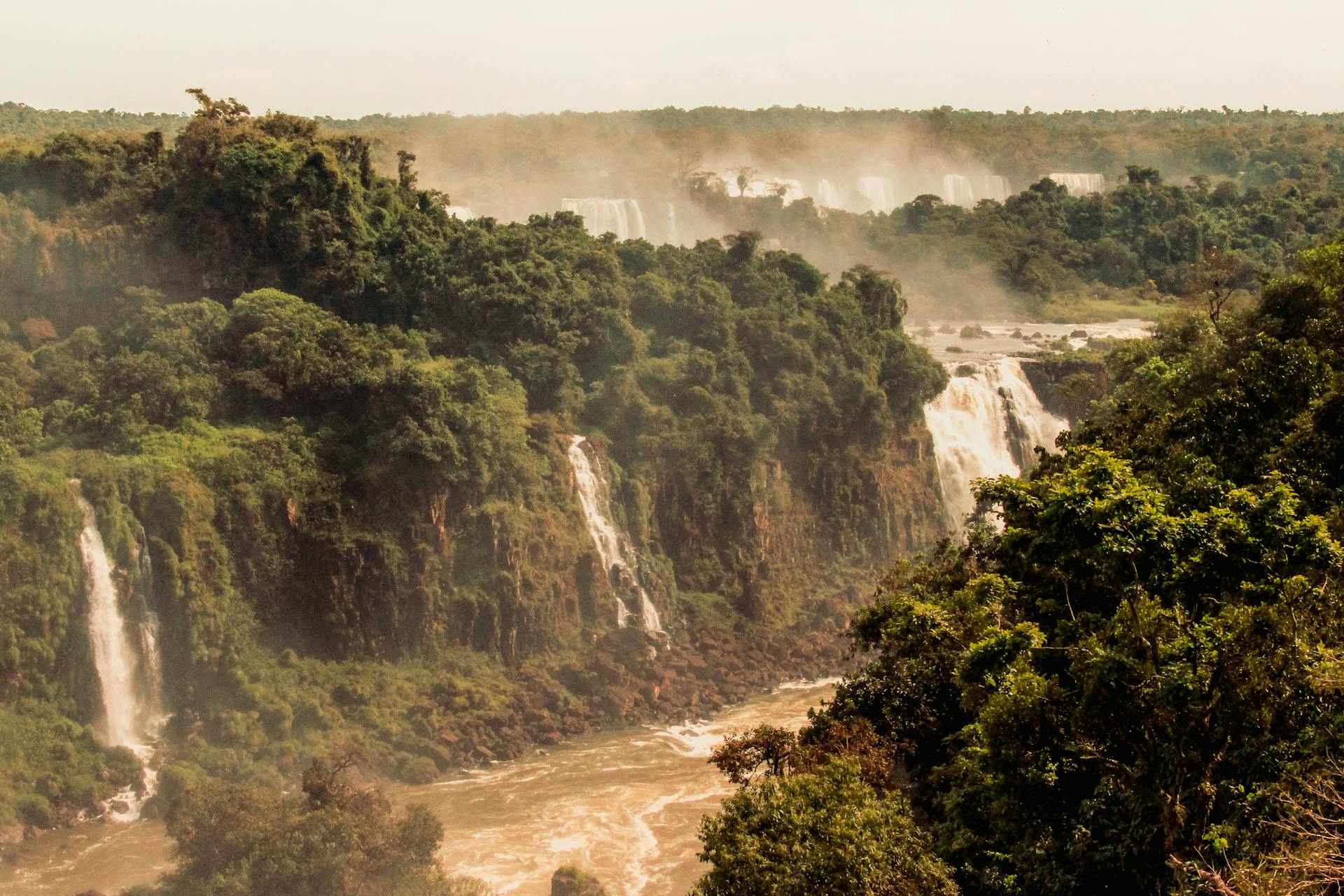 La Foresta Amazzonica - Clubbez - Blog Ecologico