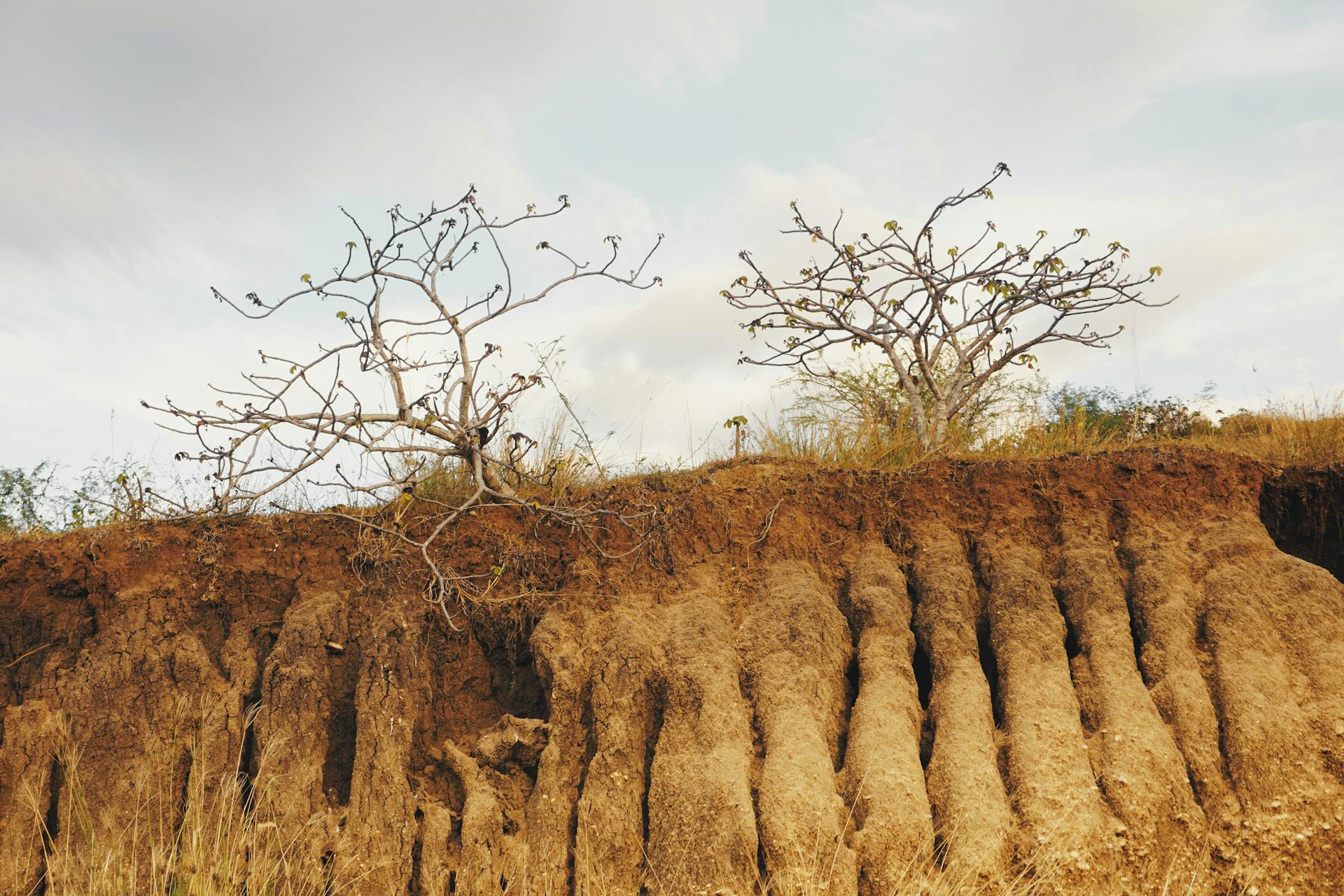 L'Erosione del Suolo - Clubbez - Blog Ecologico